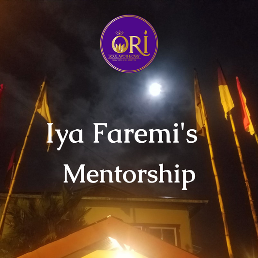 Iya Ifaremi - Mentorship Program
