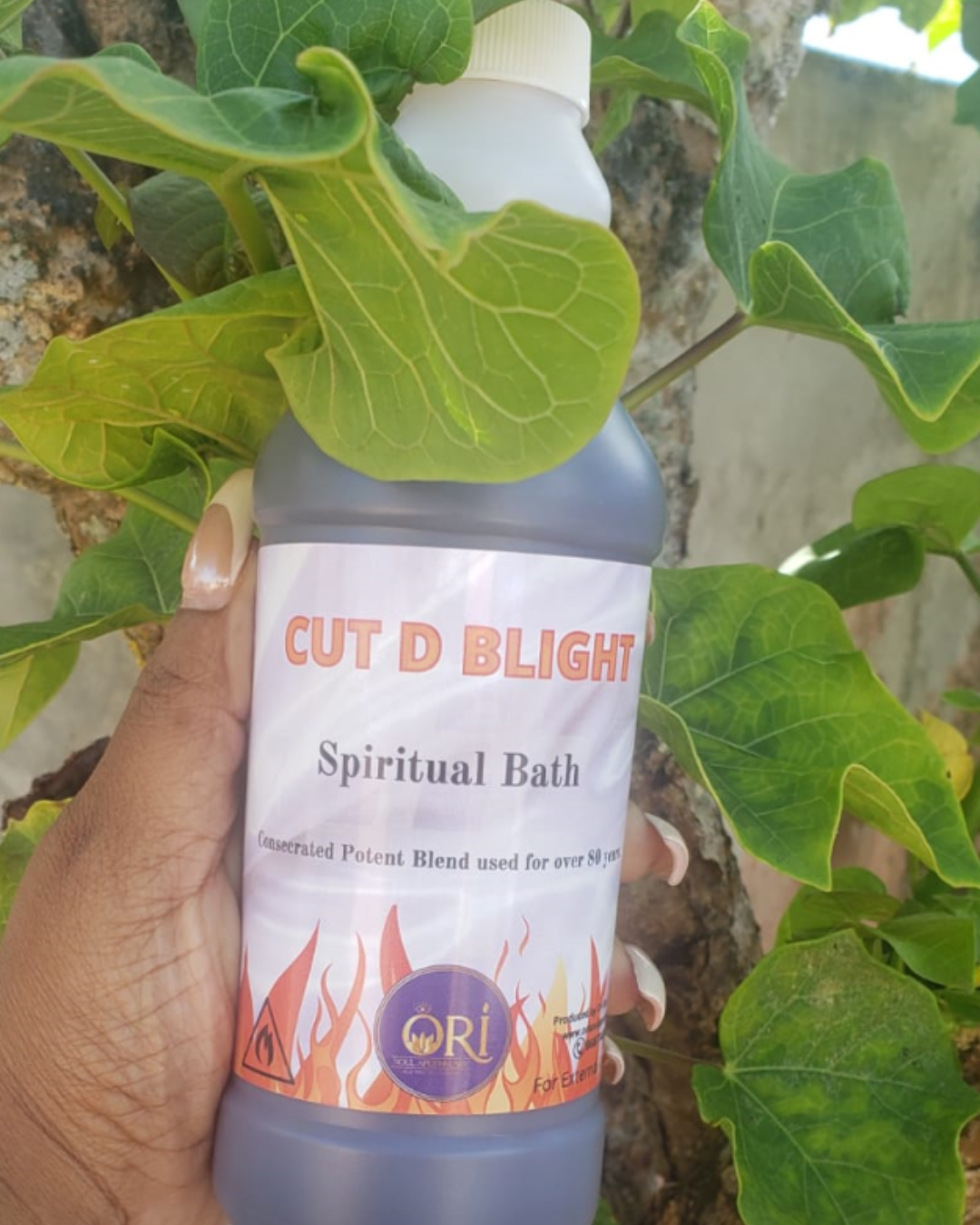 Cut D Blight Spiritual Bath