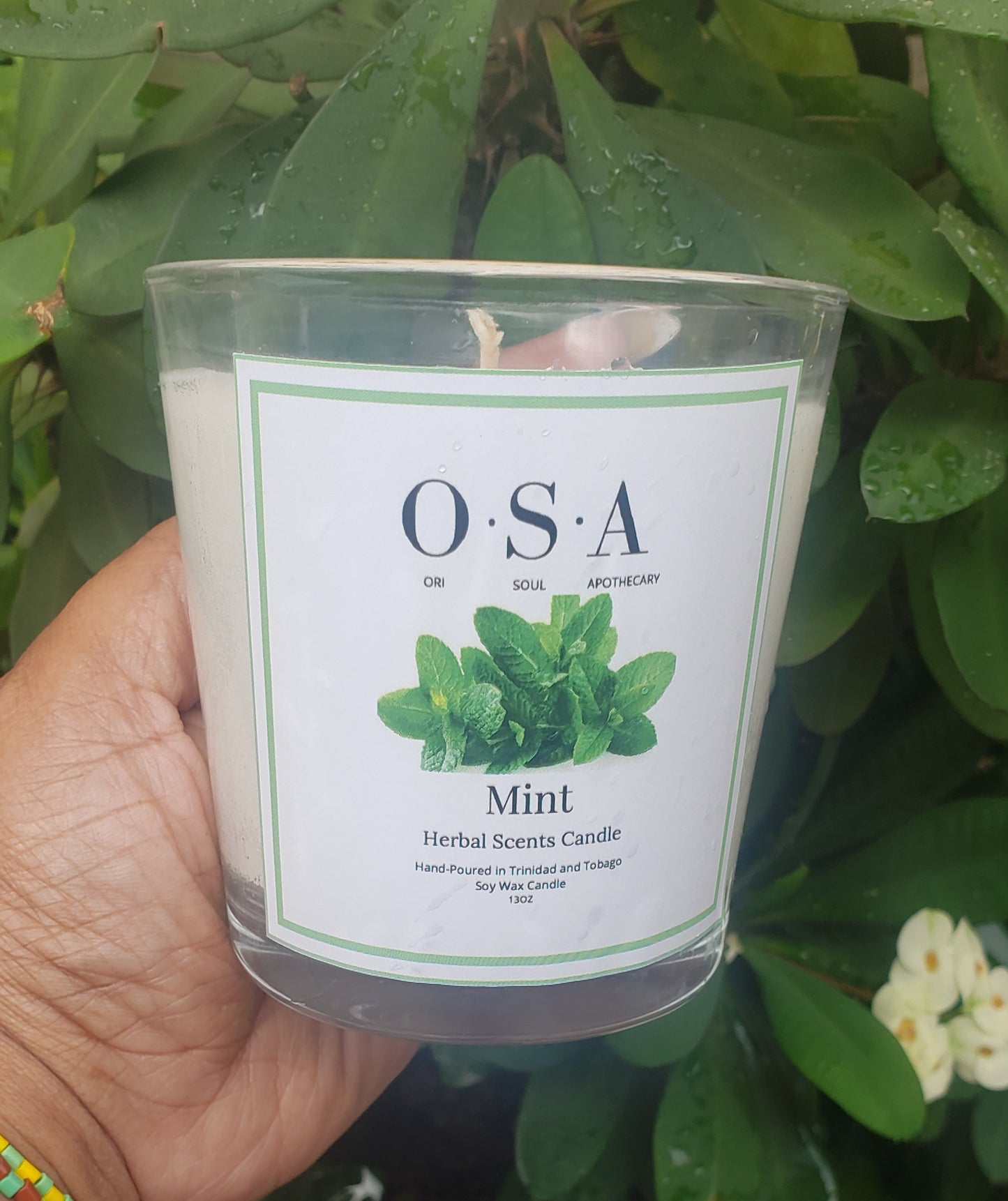 Mint Candle Herbal Scents Collection