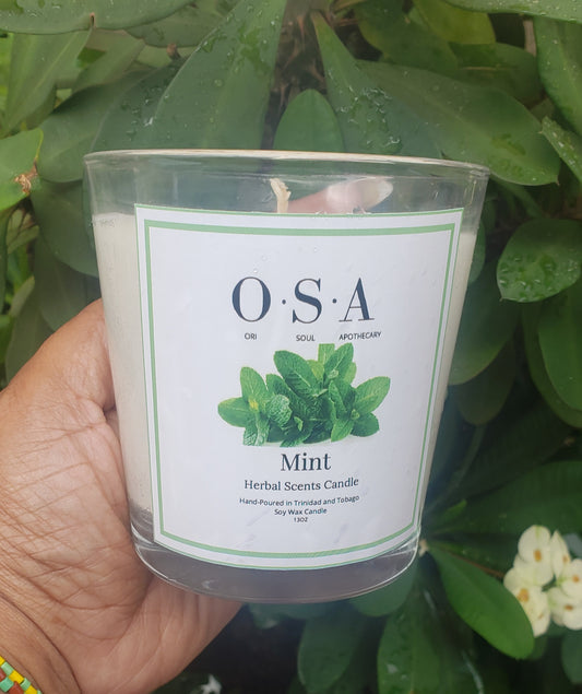 Mint Candle Herbal Scents Collection