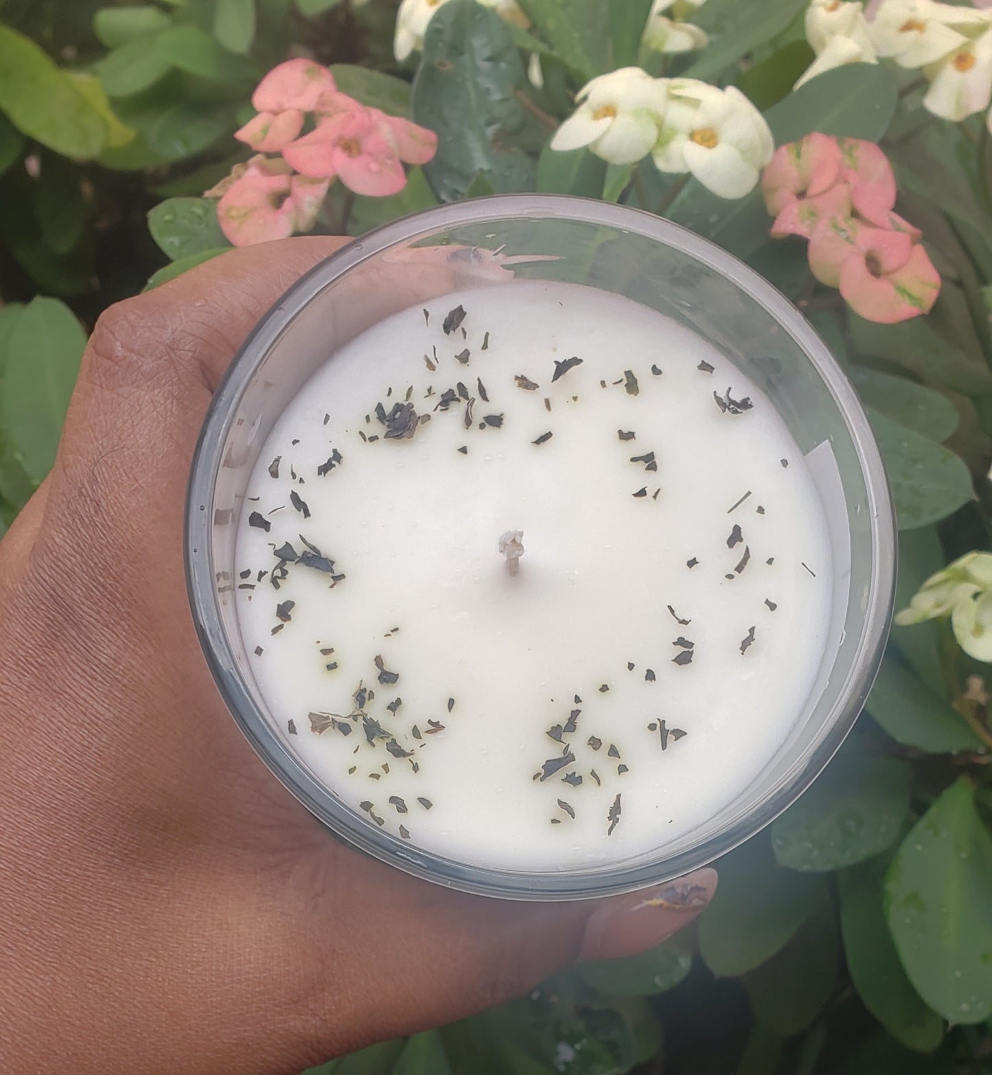 Mint Candle Herbal Scents Collection