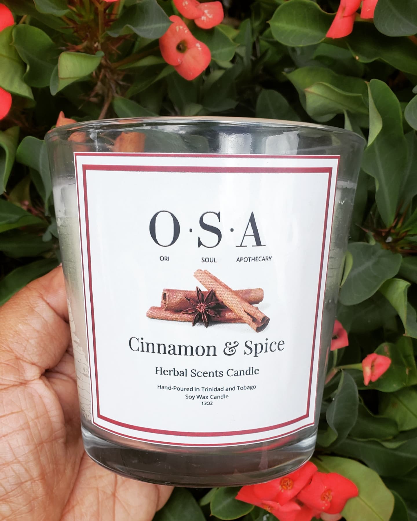 Cinnamon and Spice Candle Herbal Scents Collection