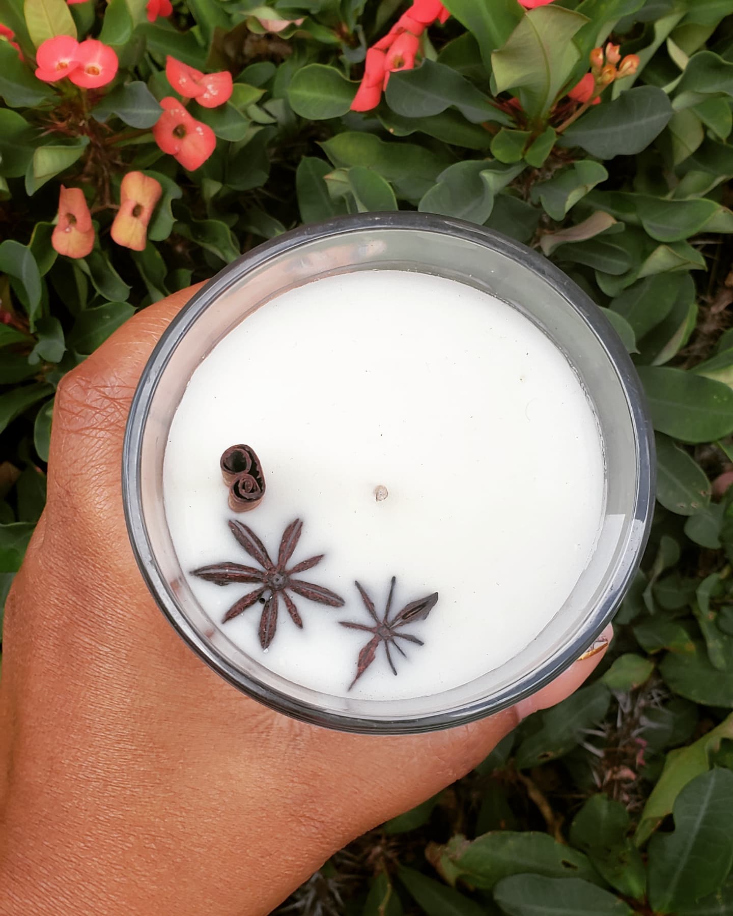 Cinnamon and Spice Candle Herbal Scents Collection